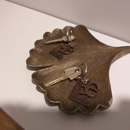 Four Seasons-centro.wifi.terraza San Sebastián